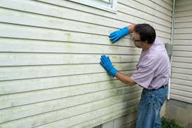 Best Siding Painting and Refinishing  in Avon Park, FL